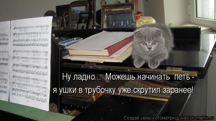 Котоматрица: Ну ладно...  можешь начинать  петь -  Ну ладно...  Можешь начинать  петь -  я ушки в трубочку уже скрутил заранее!