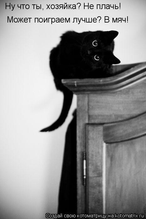 Котоматрица: Ну что ты, хозяйка? Не плачь! Может поиграем лучше? В мяч!