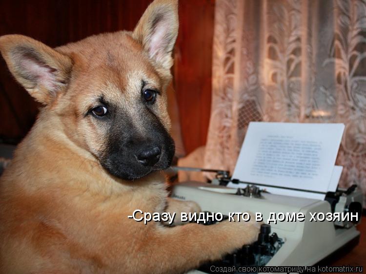 Котоматрица: -Сразу видно кто в доме хозяин