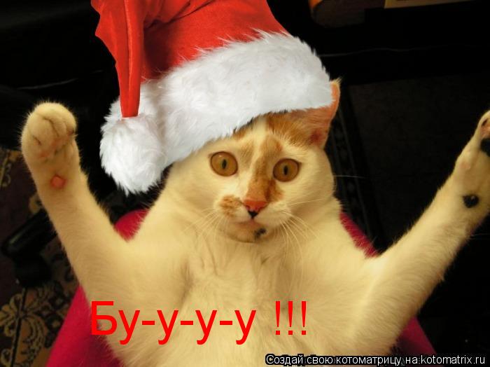 Котоматрица: Бу-у-у-у !!!