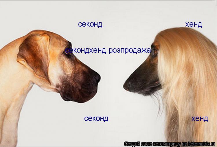 Котоматрица: секонд                                       хенд секонд                                       хенд секондхенд розпродажа