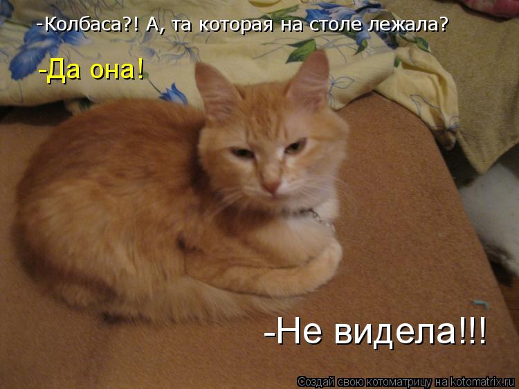 Котоматрица: -Не видела!!! -Колбаса?! А, та которая на столе лежала? -Да она!