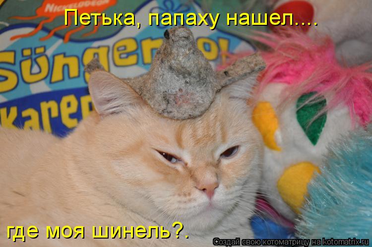 Петька, папаху нашел.... где моя шинель?.... Котоматрица: Петька, папаху нашел.... где моя шинель?.