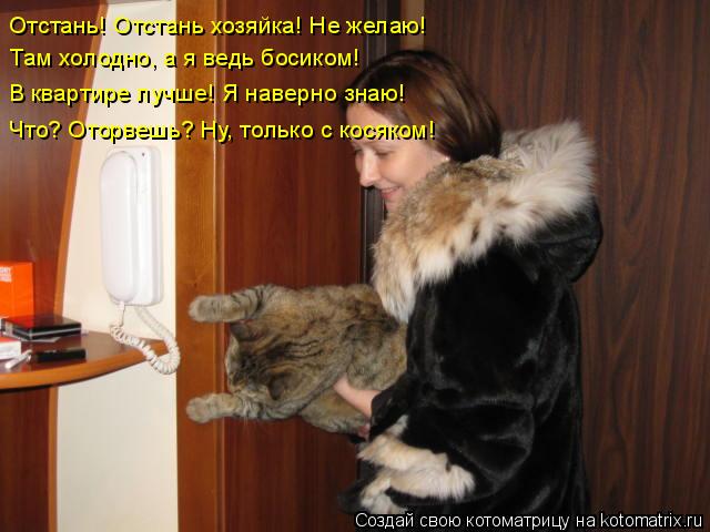 Отстань! Отстань хозяйка! Не желаю! Там холодно, а я ведь босиком! В квартире лучше! Я наверно ... Котоматрица: Отстань! Отстань хозяйка! Не желаю! Там холодно, а я ведь босиком! В квартире лучше! Я наверно знаю! Что? Оторвешь? Ну, только с косяком!