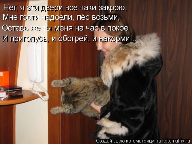 Котоматрица: Нет, я эти двери всё-таки закрою, Мне гости надоели, пёс возьми, Оставь же ты меня на час в покое И приголубь, и обогрей, и накорми!..
