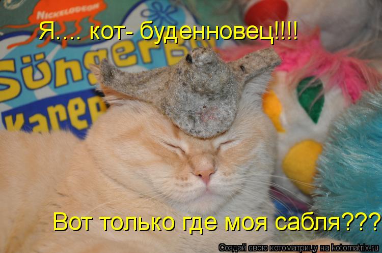 Я.... кот- буденновец!!!! Вот только где моя сабля???... Котоматрица: Я.... кот- буденновец!!!! Вот только где моя сабля???