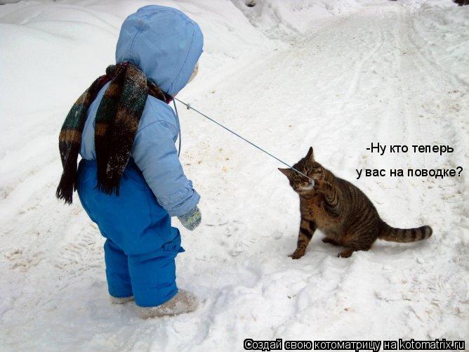Котоматрица: -Ну кто теперь у вас на поводке?