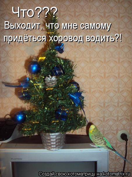 Котоматрица: Что??? Выходит, что мне самому  придёться хоровод водить?!