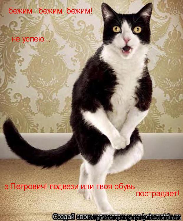 бежим , бежим, бежим! пострадает! э Петрович! подвези или твоя обувь не успею...... Котоматрица: бежим , бежим, бежим! пострадает! э Петрович! подвези или твоя обувь не успею...