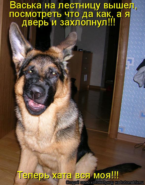 Васька на лестницу вышел, посмотреть что да как, а я дверь и захлопнул!!! Теперь хата вся моя!!!... Котоматрица: Васька на лестницу вышел, посмотреть что да как, а я дверь и захлопнул!!! Теперь хата вся моя!!!
