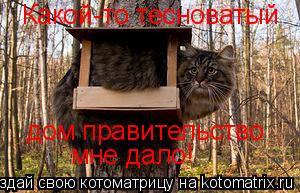 Какой-то тесноватый дом правительство мне дало !... Котоматрица: Какой-то тесноватый дом правительство мне дало !