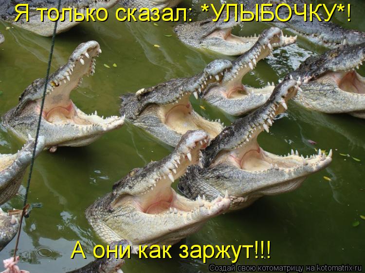 Я только сказал: *УЛЫБОЧКУ*! А они как заржут!!!... Котоматрица: Я только сказал: *УЛЫБОЧКУ*! А они как заржут!!!