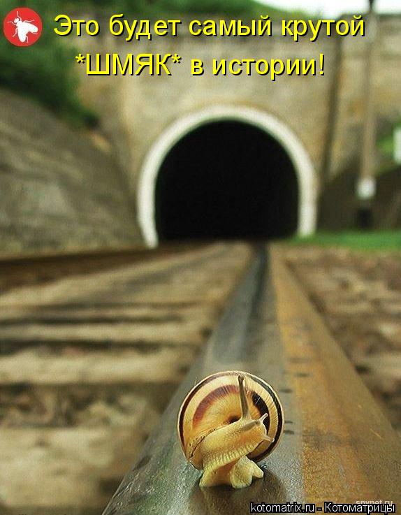 Это будет самый крутой *ШМЯК* в истории!... Котоматрица: Это будет самый крутой *ШМЯК* в истории!