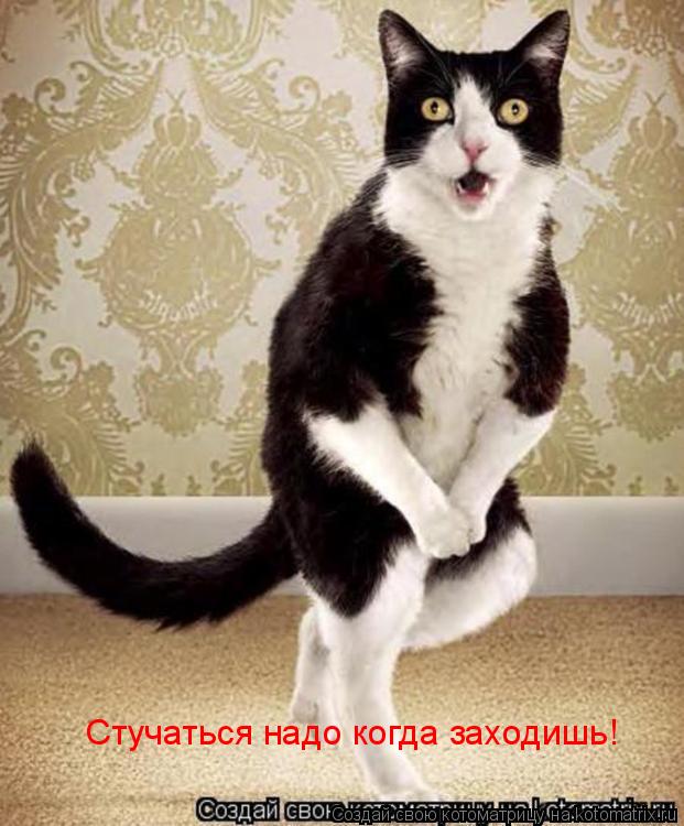 Котоматрица: Стучаться надо когда заходишь!
