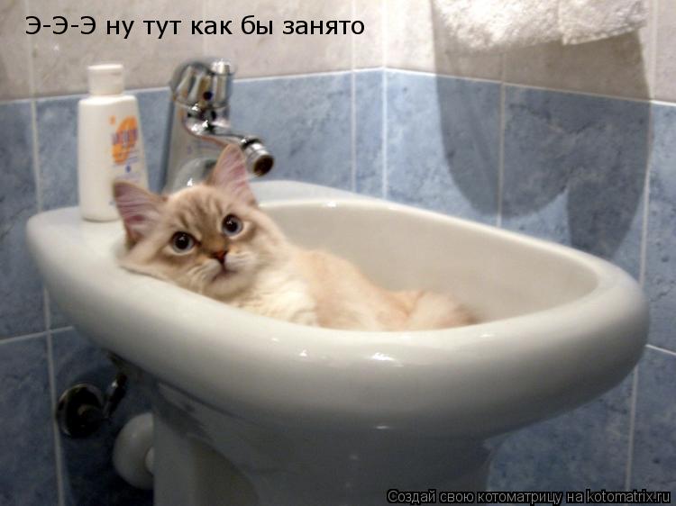 Э-Э-Э ну тут как бы занято... Котоматрица: Э-Э-Э ну тут как бы занято