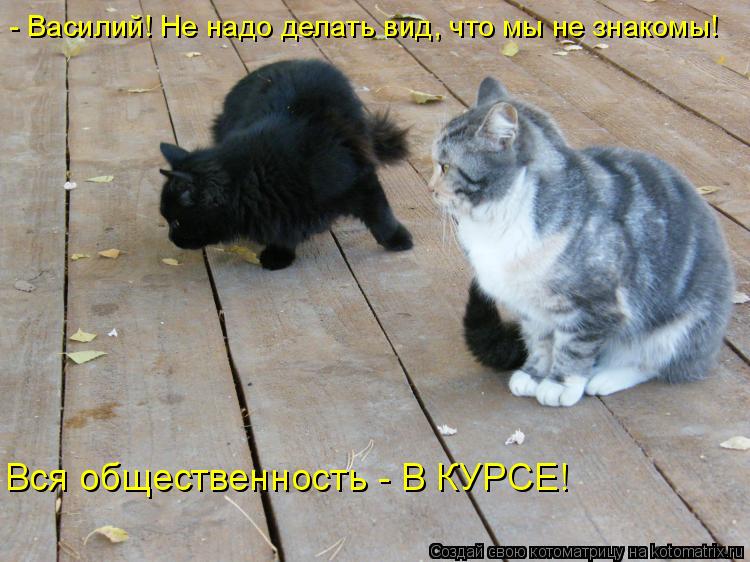 - Василий! Не надо делать вид, что мы не знакомы! Вся общественность - В КУРСЕ!... Котоматрица: - Василий! Не надо делать вид, что мы не знакомы! Вся общественность - В КУРСЕ!