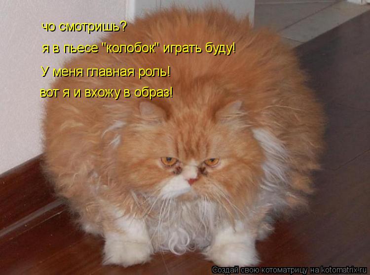 чо смотришь? я в пьесе "колобок" играть буду! У меня главная роль! вот я и вхожу в образ!... Котоматрица: чо смотришь? я в пьесе "колобок" играть буду! У меня главная роль! вот я и вхожу в образ!