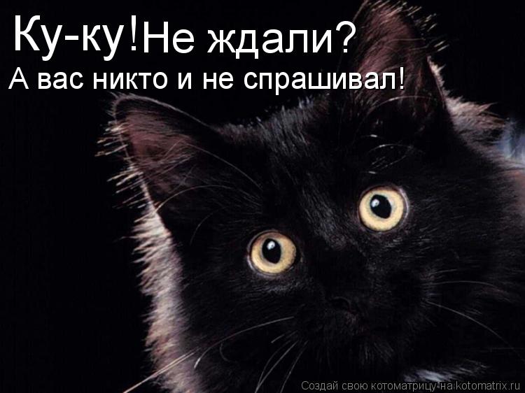 Ку-ку! Не ждали? А вас никто и не спрашивал!... Котоматрица: Ку-ку! Не ждали? А вас никто и не спрашивал!