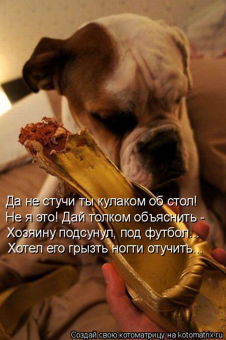 Да не стучи ты кулаком об стол! Не я это! Дай толком объяснить - Хозяину подсунул, под футбол... Хоте... Котоматрица: Да не стучи ты кулаком об стол! Не я это! Дай толком объяснить - Хозяину подсунул, под футбол... Хотел его грызть ногти отучить...