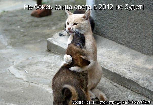 Не боись конца света в 2012 не будет!... Котоматрица: Не боись конца света в 2012 не будет!