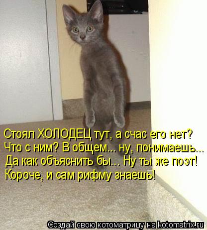 Стоял ХОЛОДЕЦ тут, а счас его нет? Что с ним? В общем... ну, понимаешь... Да как объяснить бы... Ну т... Котоматрица: Стоял ХОЛОДЕЦ тут, а счас его нет? Что с ним? В общем... ну, понимаешь... Да как объяснить бы... Ну ты же поэт! Короче, и сам рифму знаешь!