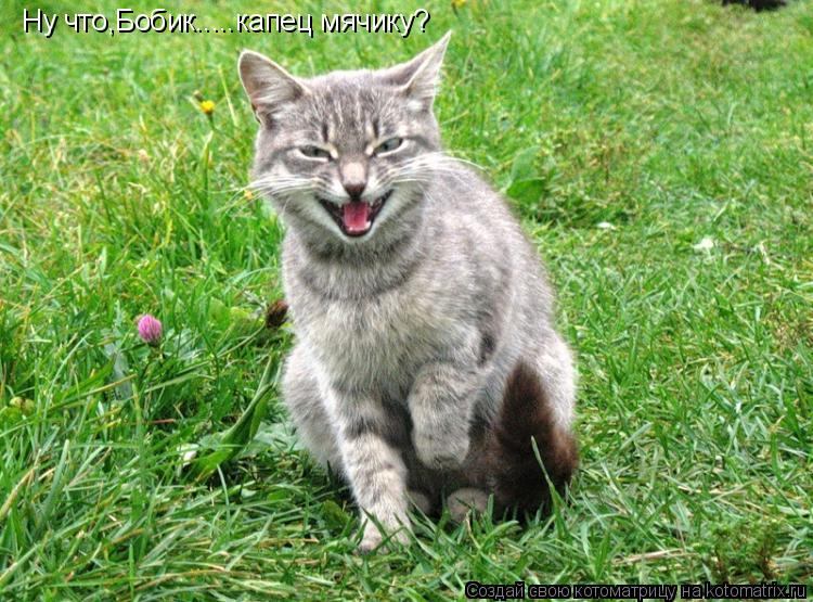 Ну что,Бобик.....капец мячику?... Котоматрица: Ну что,Бобик.....капец мячику?