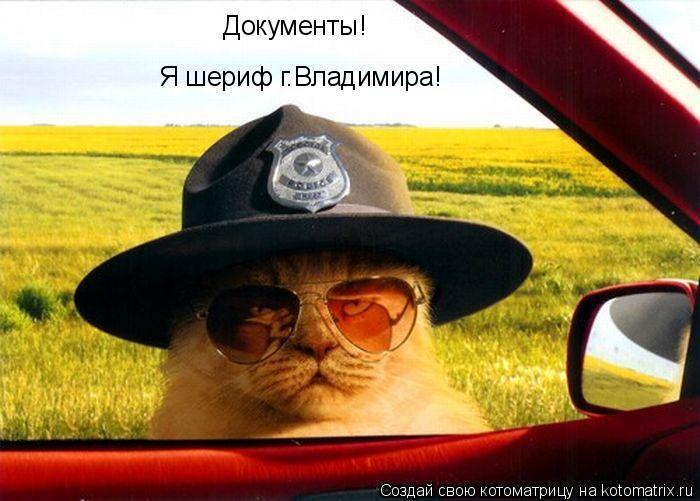 Документы! Я шериф г.Владимира!... Котоматрица: Документы! Я шериф г.Владимира!