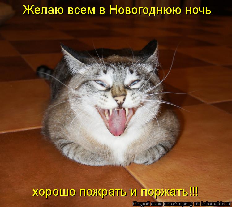 Желаю всем в Новогоднюю ночь хорошо пожрать и поржать!!!... Котоматрица: Желаю всем в Новогоднюю ночь хорошо пожрать и поржать!!!