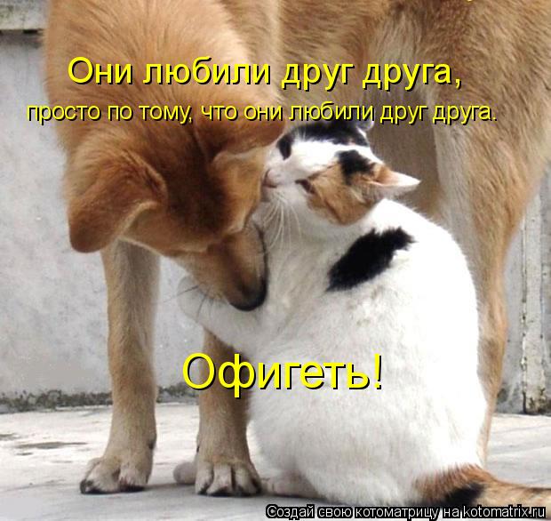 Они любили друг друга, просто по тому, что они любили друг друга. Офигеть!... Котоматрица: Они любили друг друга, просто по тому, что они любили друг друга. Офигеть!