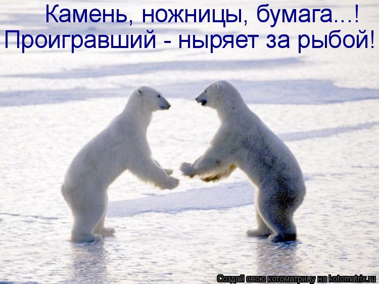 Камень, ножницы, бумага...! Проигравший - ныряет за рыбой!... Котоматрица: Камень, ножницы, бумага...! Проигравший - ныряет за рыбой!