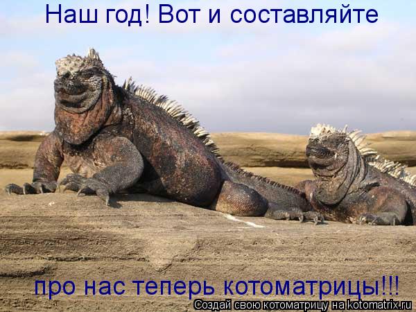 Наш год! Вот и составляйте про нас теперь котоматрицы!!!... Котоматрица: Наш год! Вот и составляйте про нас теперь котоматрицы!!!