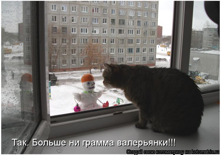 Так. Больше ни грамма валерьянки!!!... Котоматрица: Так. Больше ни грамма валерьянки!!!