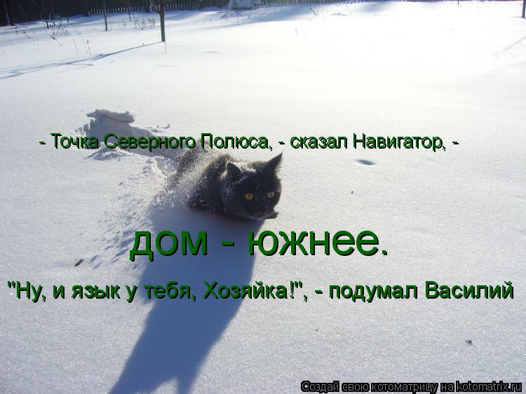 - Точка Северного Полюса, - сказал Навигатор, - дом - южнее. "Ну, и язык у тебя, Хозяйка!", - подумал... Котоматрица: - Точка Северного Полюса, - сказал Навигатор, - дом - южнее. "Ну, и язык у тебя, Хозяйка!", - подумал Василий