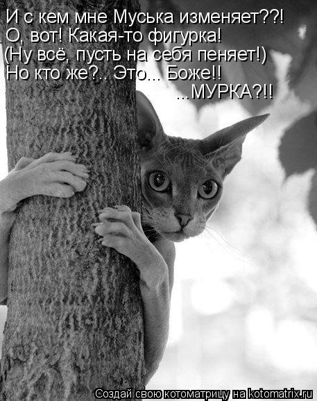 И с кем мне Муська изменяет??! О, вот! Какая-то фигурка! (Ну всё, пусть на себя пеняет!) Но кто же?..... Котоматрица: И с кем мне Муська изменяет??! О, вот! Какая-то фигурка! (Ну всё, пусть на себя пеняет!) Но кто же?.. Это... Боже!! ...МУРКА?!!