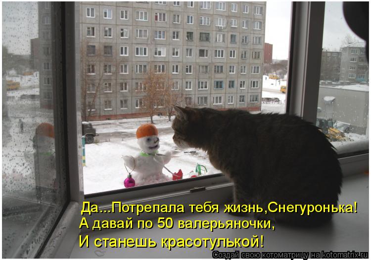 Да...Потрепала тебя жизнь,Снегуронька! А давай по 50 валерьяночки, И станешь красотулькой!... Котоматрица: Да...Потрепала тебя жизнь,Снегуронька! А давай по 50 валерьяночки, И станешь красотулькой!