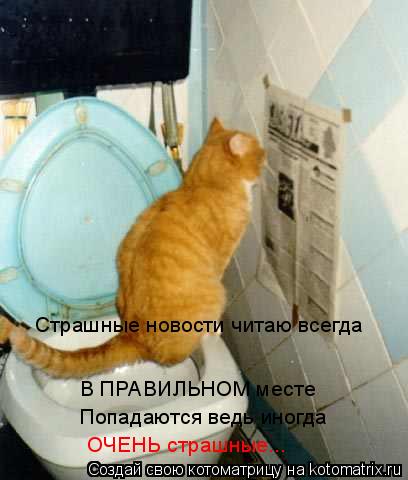 Страшные новости читаю всегда В ПРАВИЛЬНОМ месте Попадаются ведь иногда ОЧЕНЬ страшные...... Котоматрица: Страшные новости читаю всегда В ПРАВИЛЬНОМ месте Попадаются ведь иногда ОЧЕНЬ страшные...