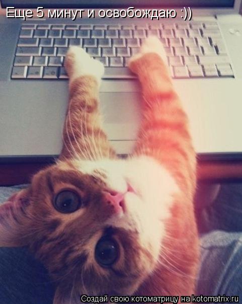 Еще 5 минут и освобождаю :))... Котоматрица: Еще 5 минут и освобождаю :))