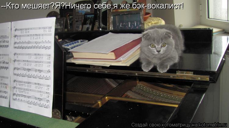 --Кто мешяет?Я?Ничего себе,я же бэк-вокалист!... Котоматрица: --Кто мешяет?Я?Ничего себе,я же бэк-вокалист!