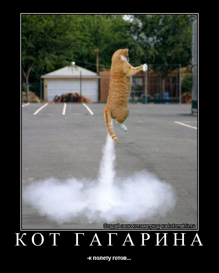 Котоматрица: кот Гагарина -к полету готов...