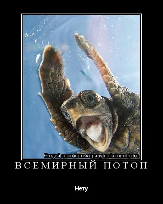 Котоматрица: Всемирный потоп Нету
