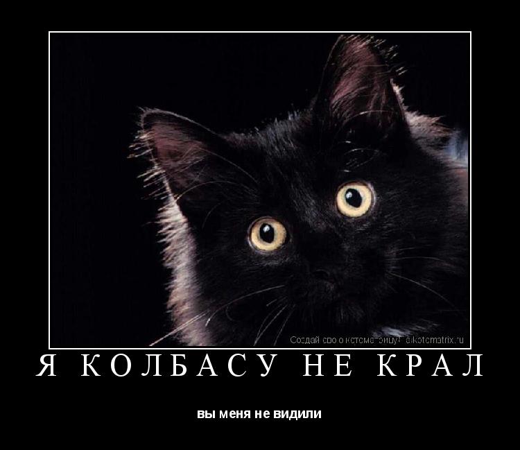 я колбасу не крал вы меня не видили... Котоматрица: я колбасу не крал вы меня не видили