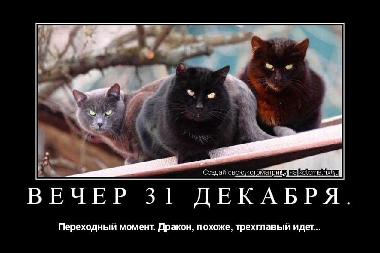 ВЕЧЕР 31 ДЕКАБРЯ. Переходный момент. Дракон, похоже, трехглавый идет...... Котоматрица: ВЕЧЕР 31 ДЕКАБРЯ. Переходный момент. Дракон, похоже, трехглавый идет...