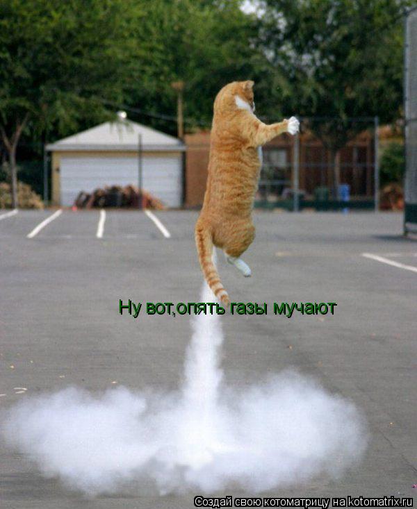 Котоматрица: Ну вот,опять газы мучают