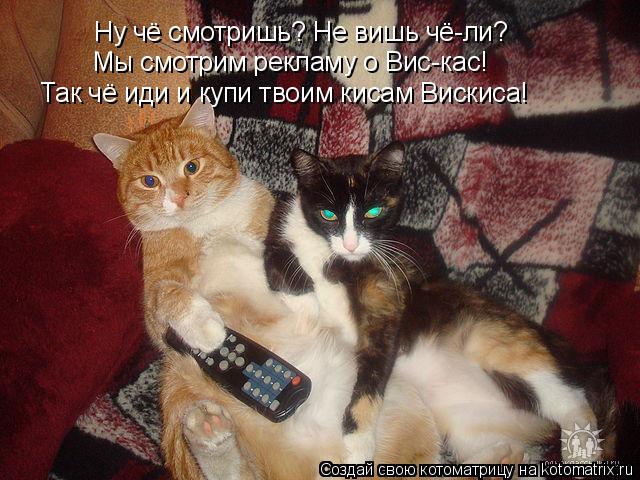 Котоматрица: Ну чё смотришь? Не вишь чё-ли? Мы смотрим рекламу о Вис-кас! Так чё иди и купи твоим кисам Вискиса!