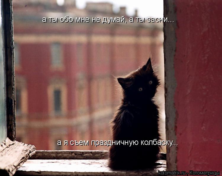 Котоматрица: а ты обо мне не думай, а ты засни... а я съем праздничную колбаску...