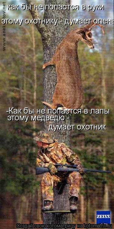 Котоматрица: как бы не попастся в руки  этому охотнику - думает олень -Как бы не попастся в лапы этому медведю -  думает охотник