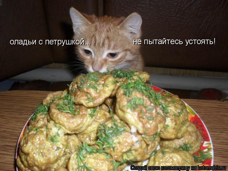 оладьи с петрушкой... не пытайтесь устоять!... Котоматрица: оладьи с петрушкой... не пытайтесь устоять!