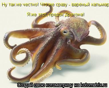 Ну так не честно! Что же сразу - варёный кальмар? Я же этот, предок Дракона!... Котоматрица: Ну так не честно! Что же сразу - варёный кальмар? Я же этот, предок Дракона!