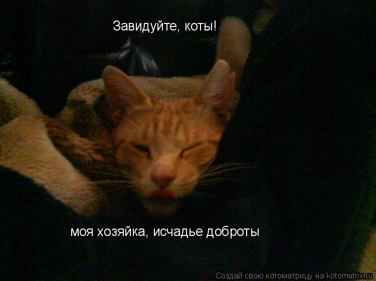 Завидуйте, коты! моя хозяйка, исчадье доброты... Котоматрица: Завидуйте, коты! моя хозяйка, исчадье доброты