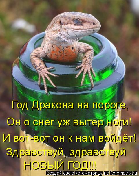 Год Дракона на пороге, Он о снег уж вытер ноги! И вот-вот он к нам войдёт! Здравствуй, здравствуй НОВ... Котоматрица: Год Дракона на пороге, Он о снег уж вытер ноги! И вот-вот он к нам войдёт! Здравствуй, здравствуй НОВЫЙ ГОД!!!